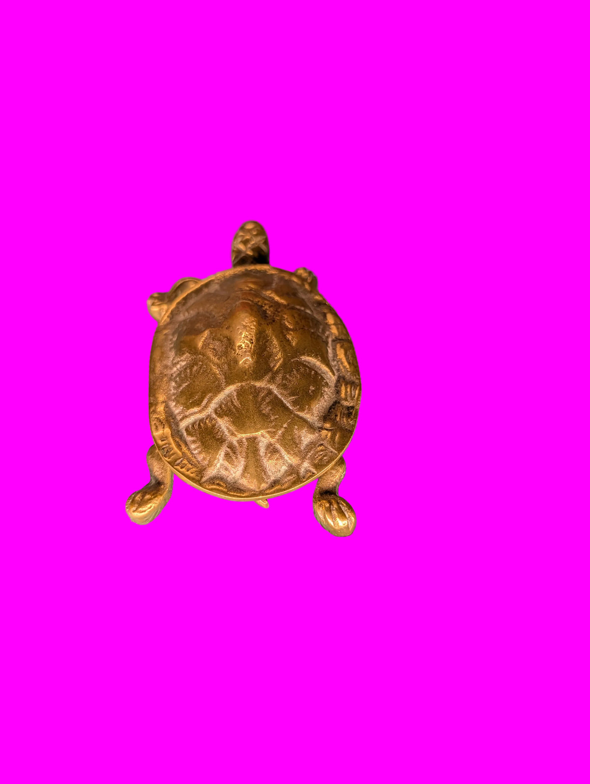 Bronze Schildkröte – Kleine Schmuck- und Pillendose, Sammlerobjekt